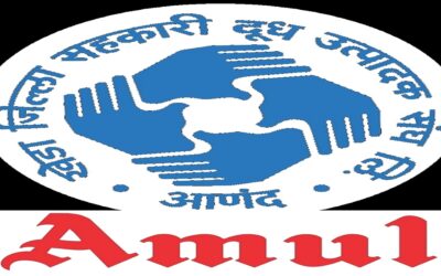 Amul Dairy Recruitment