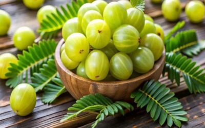 Amla Chutney Recipe: આ ફળની ચટણી સ્વાદ સાથે સ્વાસ્થ્ય માટે છે ફાયદાકારક Amla Chutney Recipe