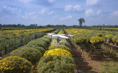 Namo Didi Drone Yojna: મહિલાઓ માટે મોટી રાહત! ખેતી માટે ડ્રોન ખરીદી પર 80% સબસિડી, જાણો તમામ વિગતો Namo Didi Drone Yojna