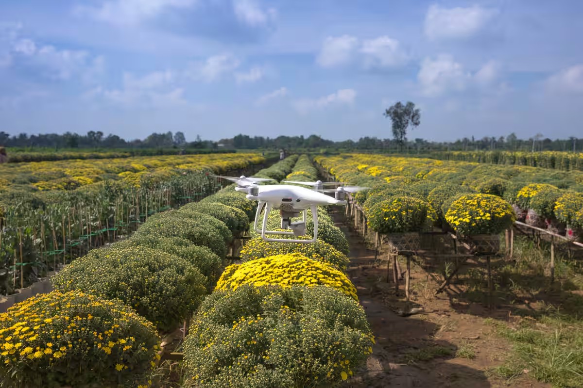Namo Didi Drone Yojna
