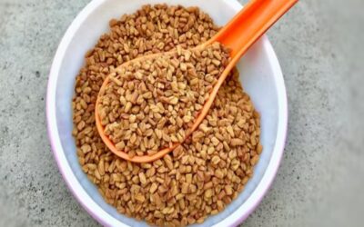 Superfood for Health