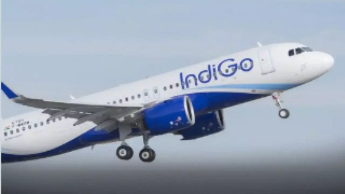 Indigo Flight