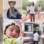 ચાંદખેડા ઢોસાકાંડ