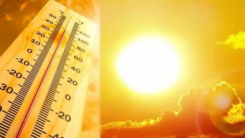 Yellow Alert Heatwave :