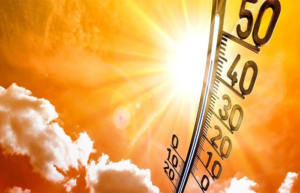 Rajkot Heatwave Update