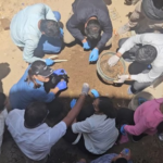 Ahmedabad Murder Mystery