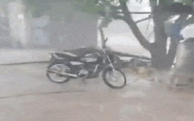 Unseasonal Rain in Gujarat