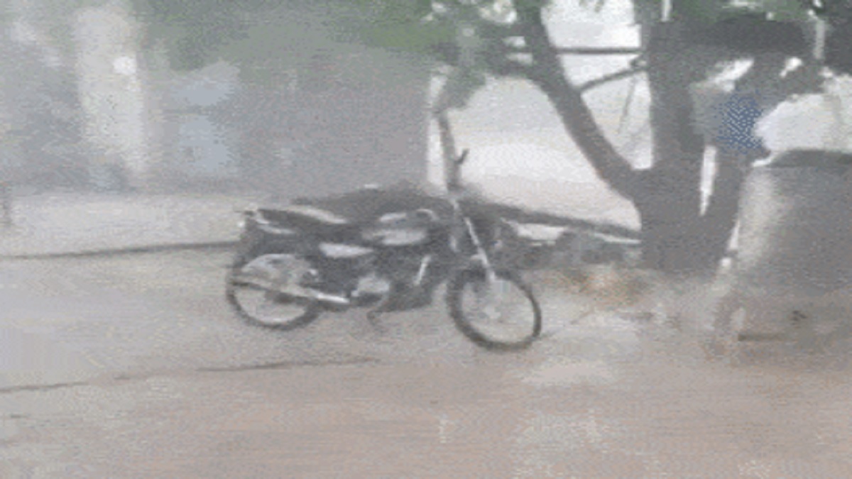 Unseasonal Rain in Gujarat
