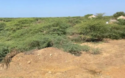 Bio-Methanol Plant Kutch