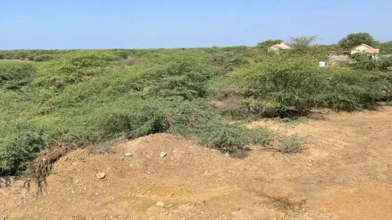 Bio-Methanol Plant Kutch
