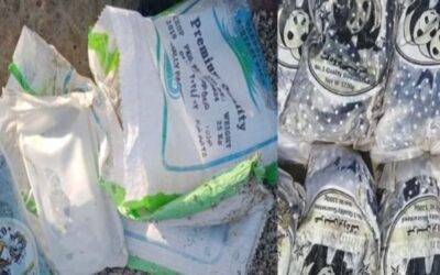 Gujarat Coastal Drugs Seized