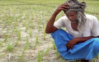 NCRB Farmer Suicide Report 2024