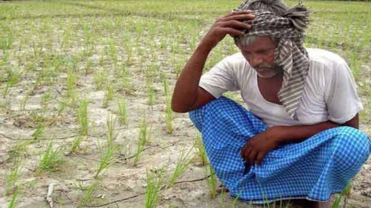 NCRB Farmer Suicide Report 2024