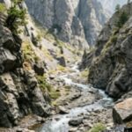 Chamba Car Accident