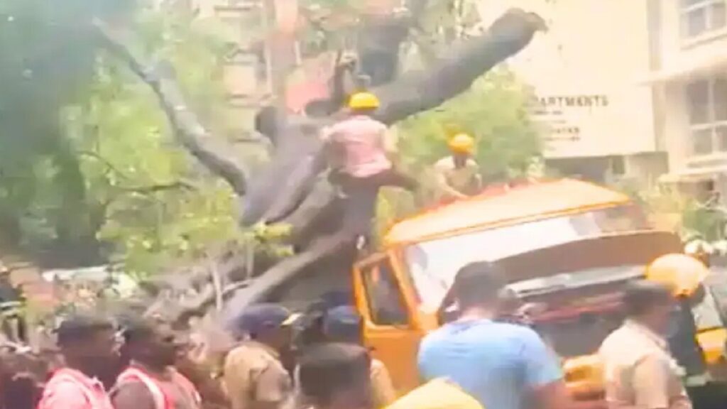 Tree falls on school bus Mumbai