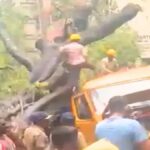 Tree falls on school bus Mumbai