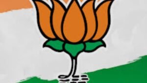 bjp candidates rajyasabha