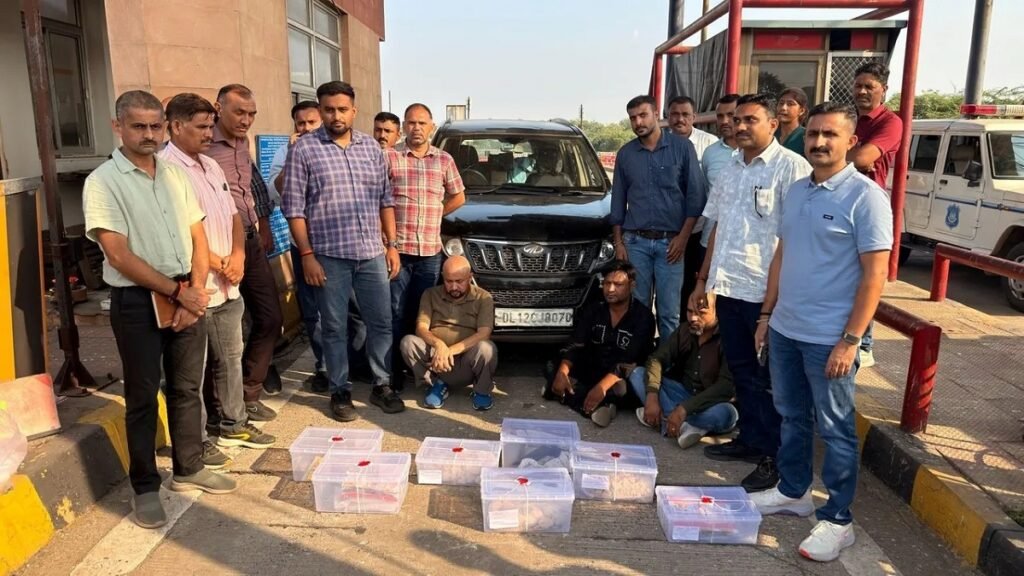 Ahmedabad Vadodara Expressway Drug Bust